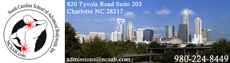 Charlotte Skyline - clinical / medical massage therapy school information in Charlotte, NC