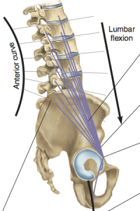 Clinical / Medical Massage Therapy School in Charlotte